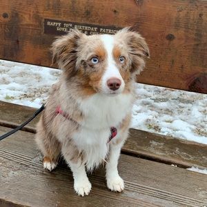 Meet your Posher, Danielle